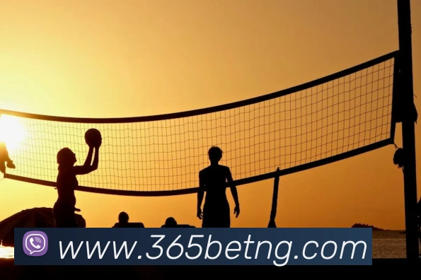 bet365com英国上市公司服务体系